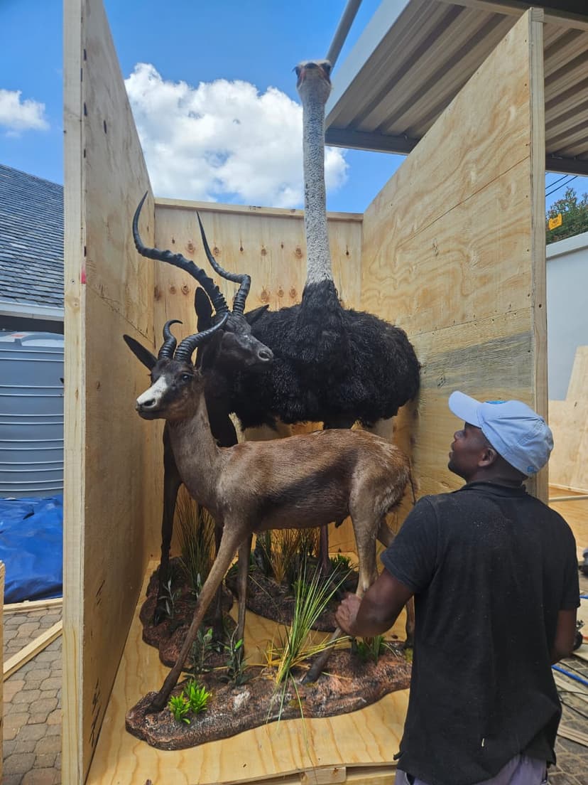 Alt text for the image