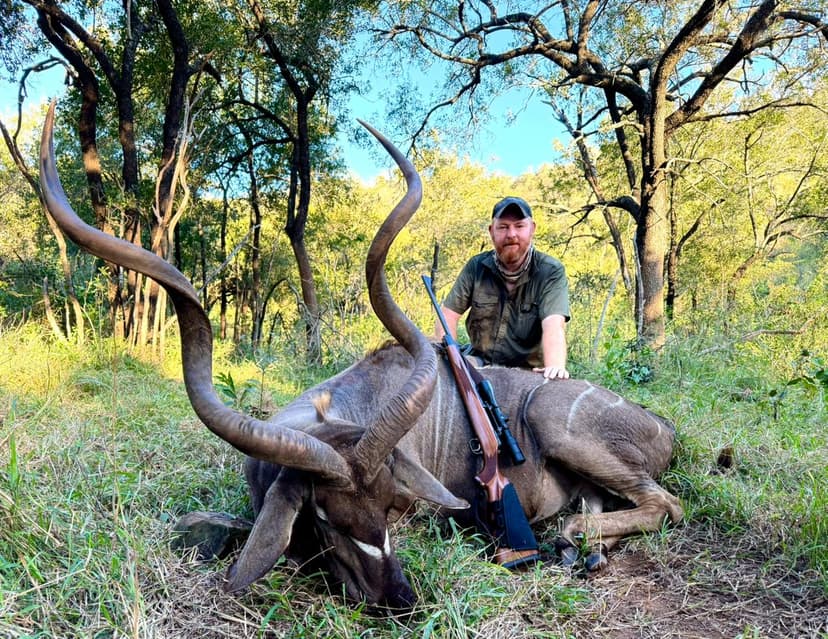 Alt text for the image